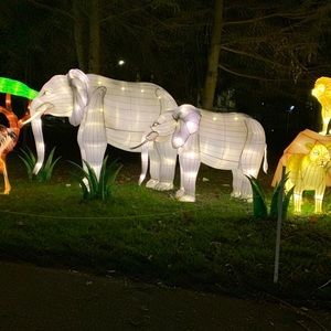 Meet your Posher, Priscilla